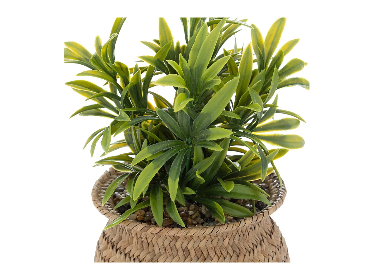 Plante artificielle pot en Roseau H 20 cm