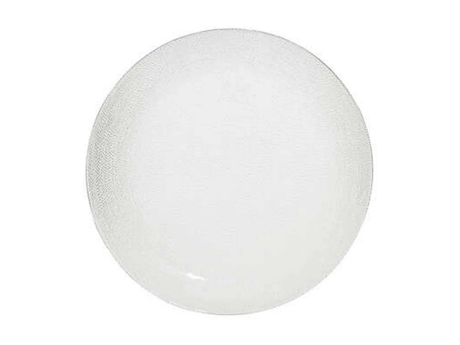 Lot de 6 Assiettes Plates "Palm" 27cm Transparent