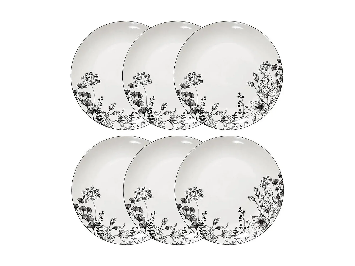 Lot de 6 Assiettes Plates "White Floral" 27cm Blanc