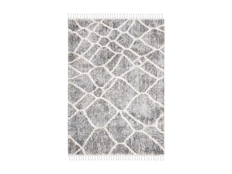 Tapis Gris/Neutre 160 X 229 cm - Fez