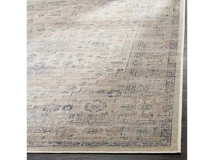 Tapis Neutre/Bleu 99 X 170 cm - Rihana