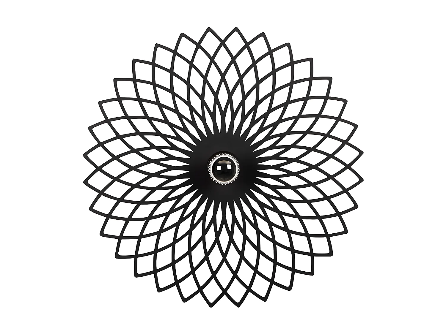 Aplique de parede em metal de D. 50 cm cor preto - FOLINA