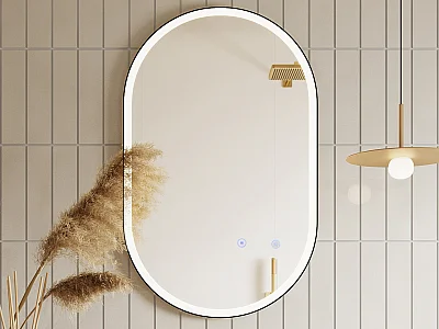Verlichte ovale badkamerspiegel met antibewaseming en zwart kader - 50 x 80 cm ALARICO