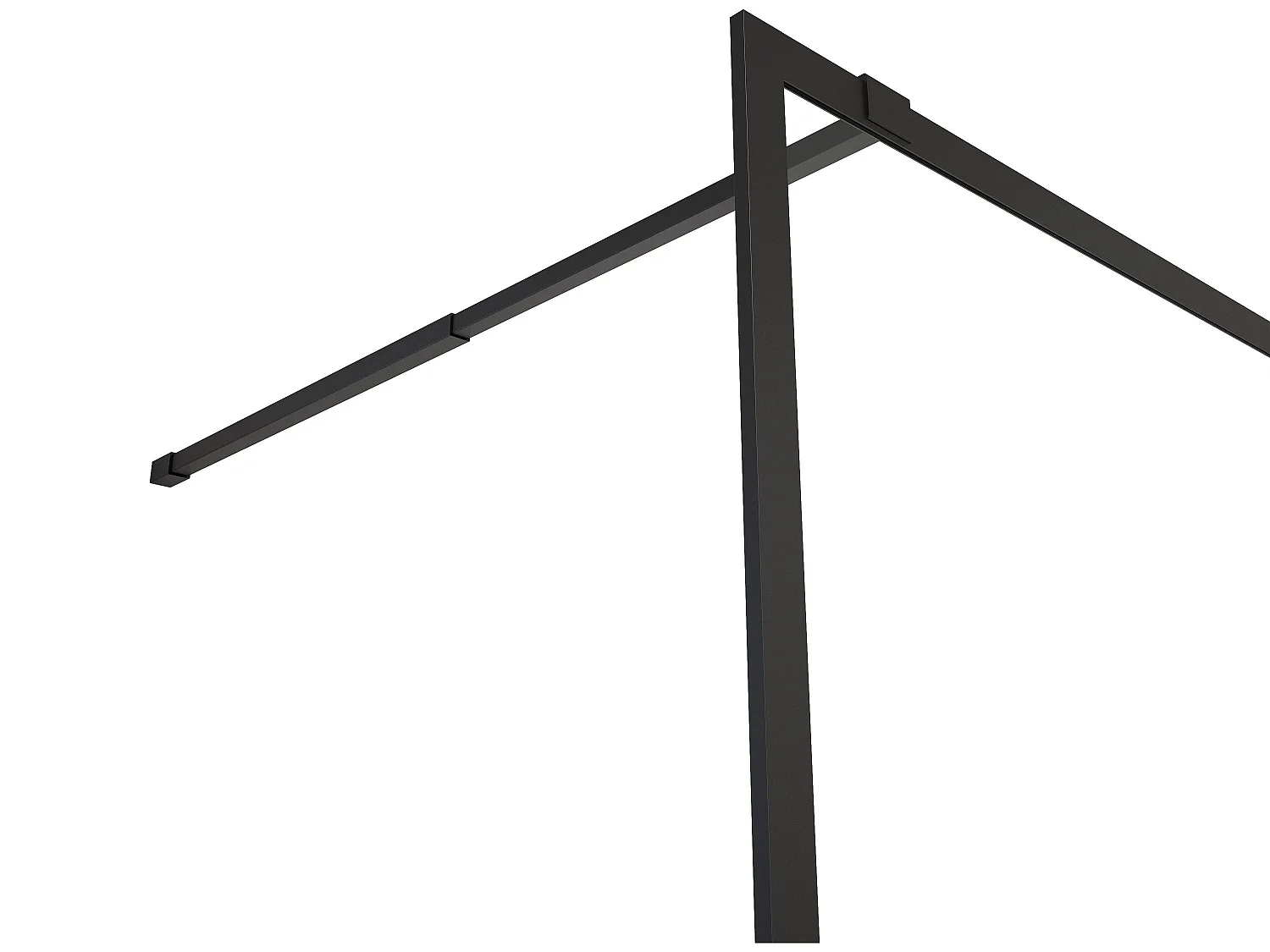 Porta per doccia walk-in 120 x 200 cm Vetro temperato Nero opaco - AMBERI