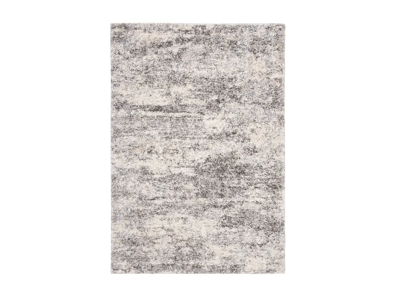 Tapis Gris/Neutre 160 X 229 cm - Tiznit