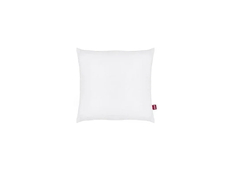ABEIL Lot de 2 Oreillers Douceur - 60 x 60 cm - Blanc