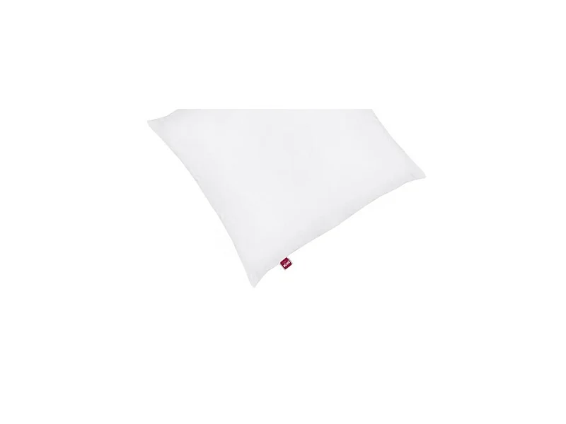 ABEIL Lot de 2 Oreillers Douceur - 60 x 60 cm - Blanc