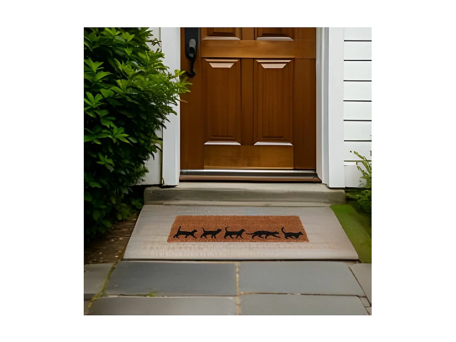 Kokosfaser-Fußmatte Evolution 75 x 25 cm Katzen