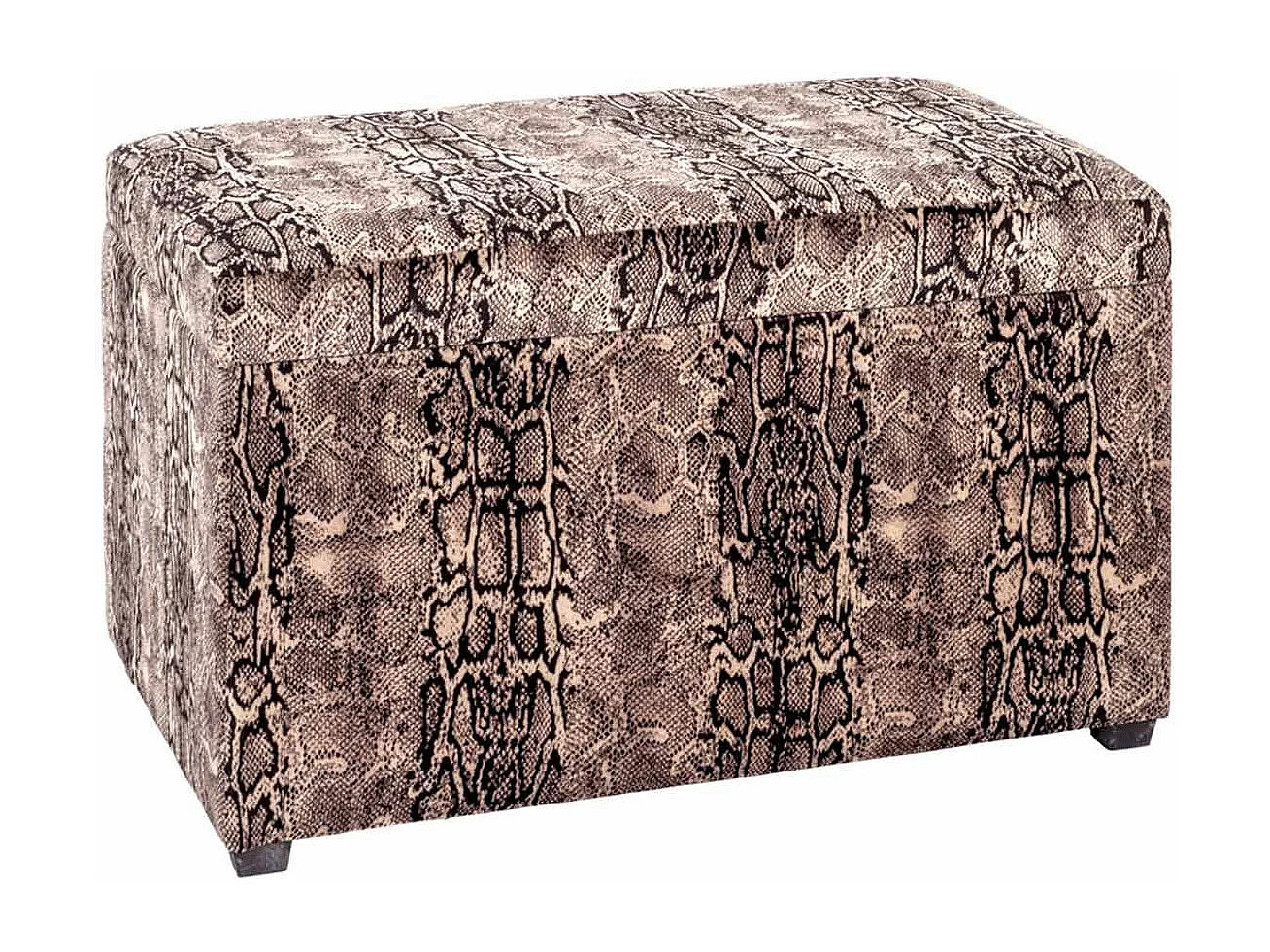 Coffre de Rangement "Motif Serpent" 65cm Marron