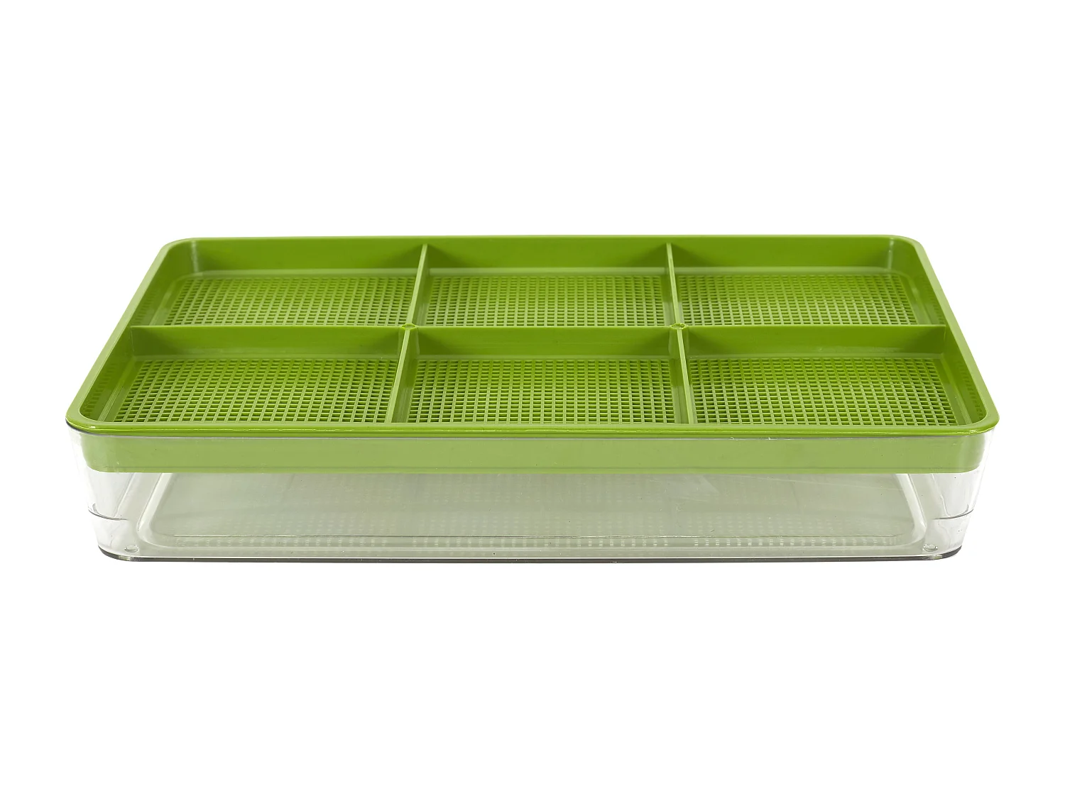 Germoir A Graines 20.5x5.5x30 Cm Vert, Transparent