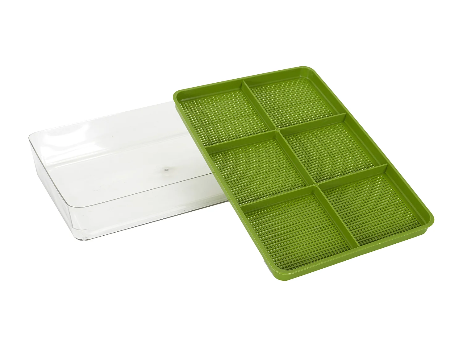 Germoir A Graines 20.5x5.5x30 Cm Vert, Transparent