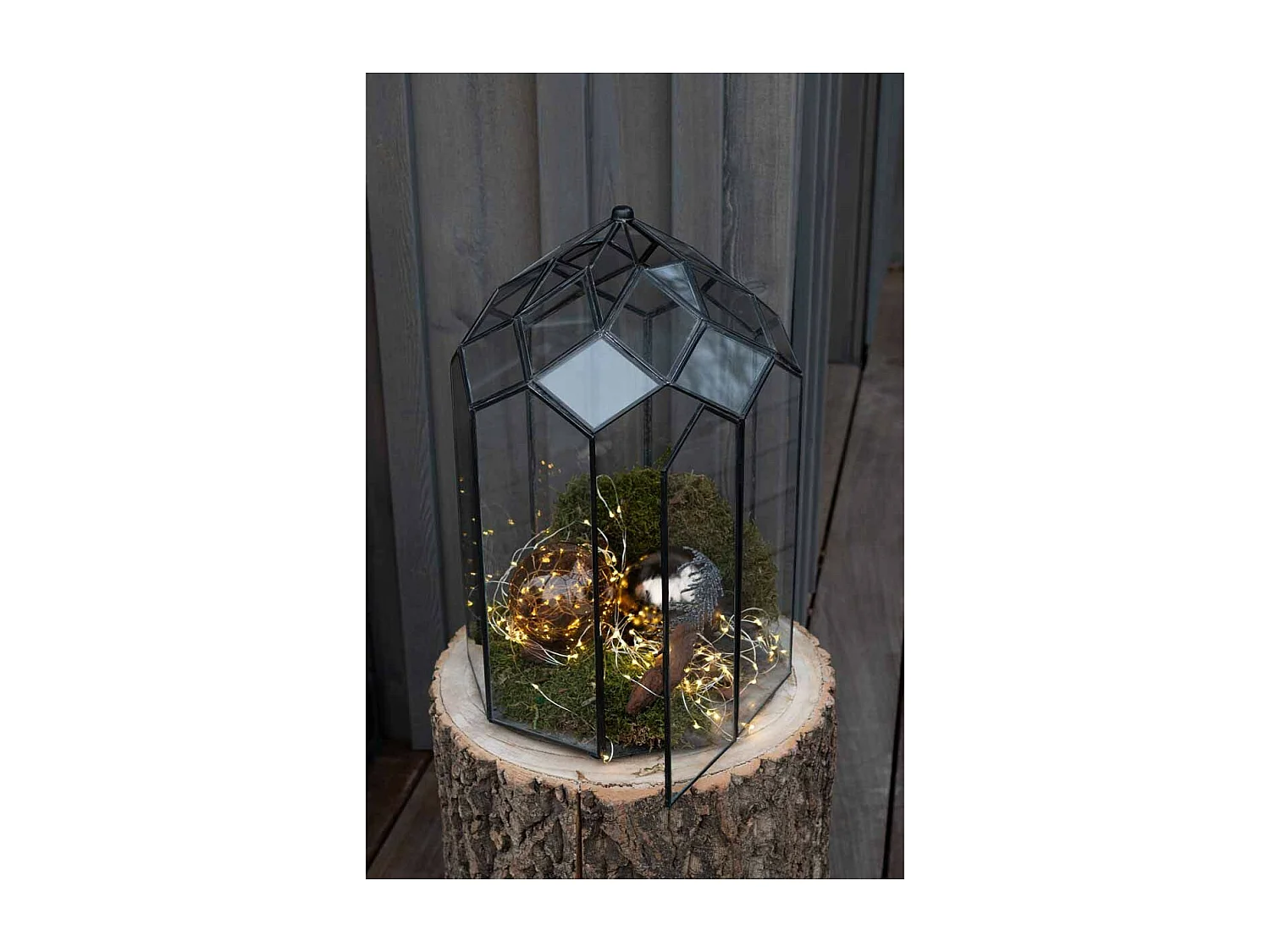 Terrarium en Verre Vintage "Brisla" 38cm Noir