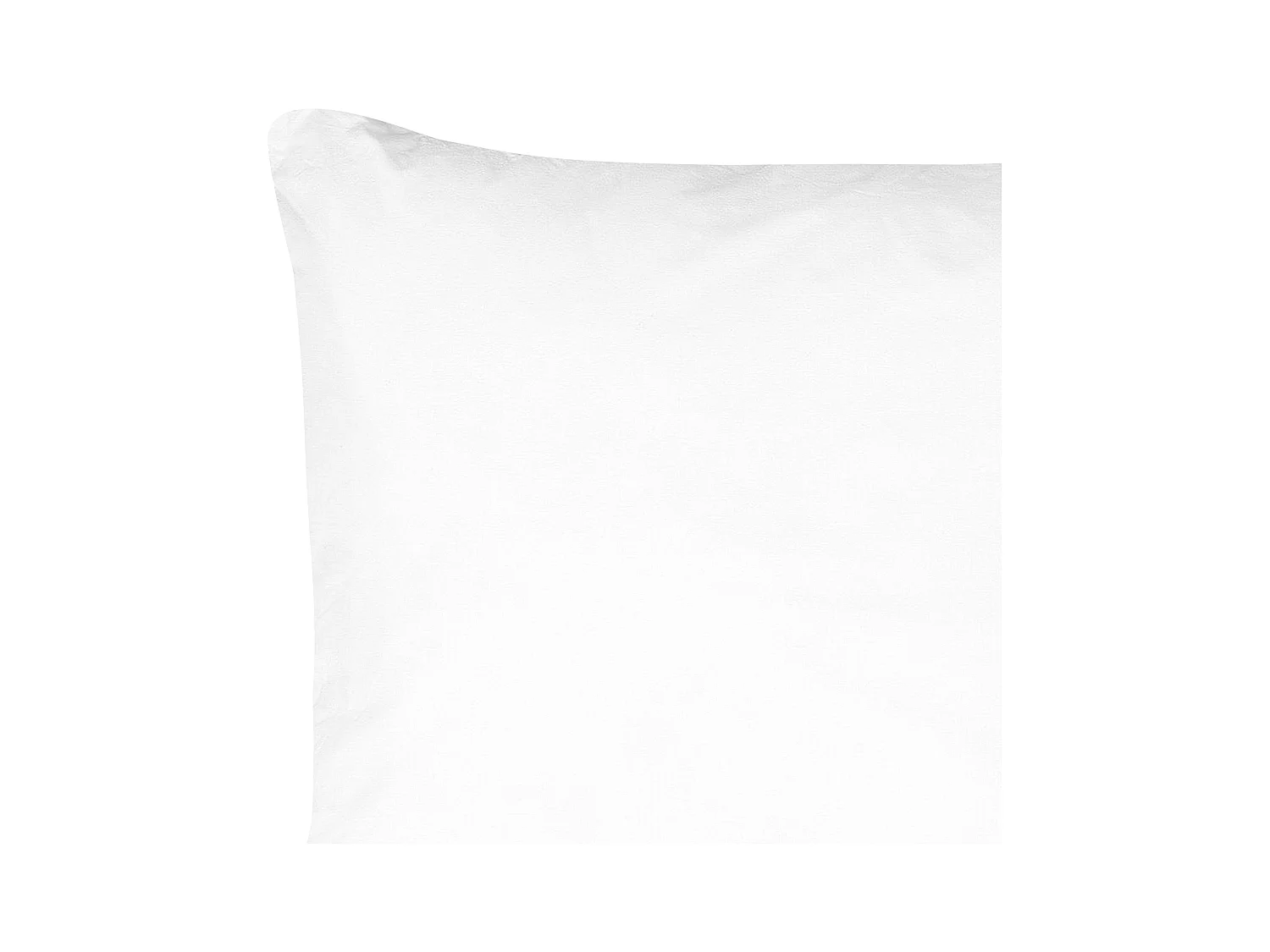 Oreiller ERRIGAL Haut Microfibre 50 x 60 cm Blanc