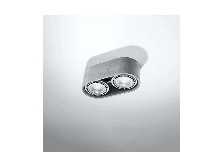 Plafondlampen Basic Industrieel Van  - 2 Lichtbronnen - L.27 X H.9 Cm - Grijs