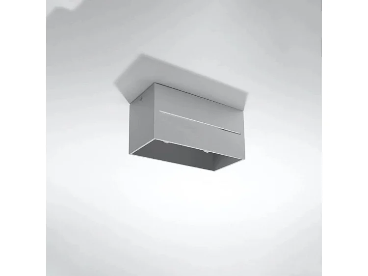 Plafondlampen Lobo Modern Van  - 2 Lichtbronnen - L.20 X H.10 Cm - Grijs