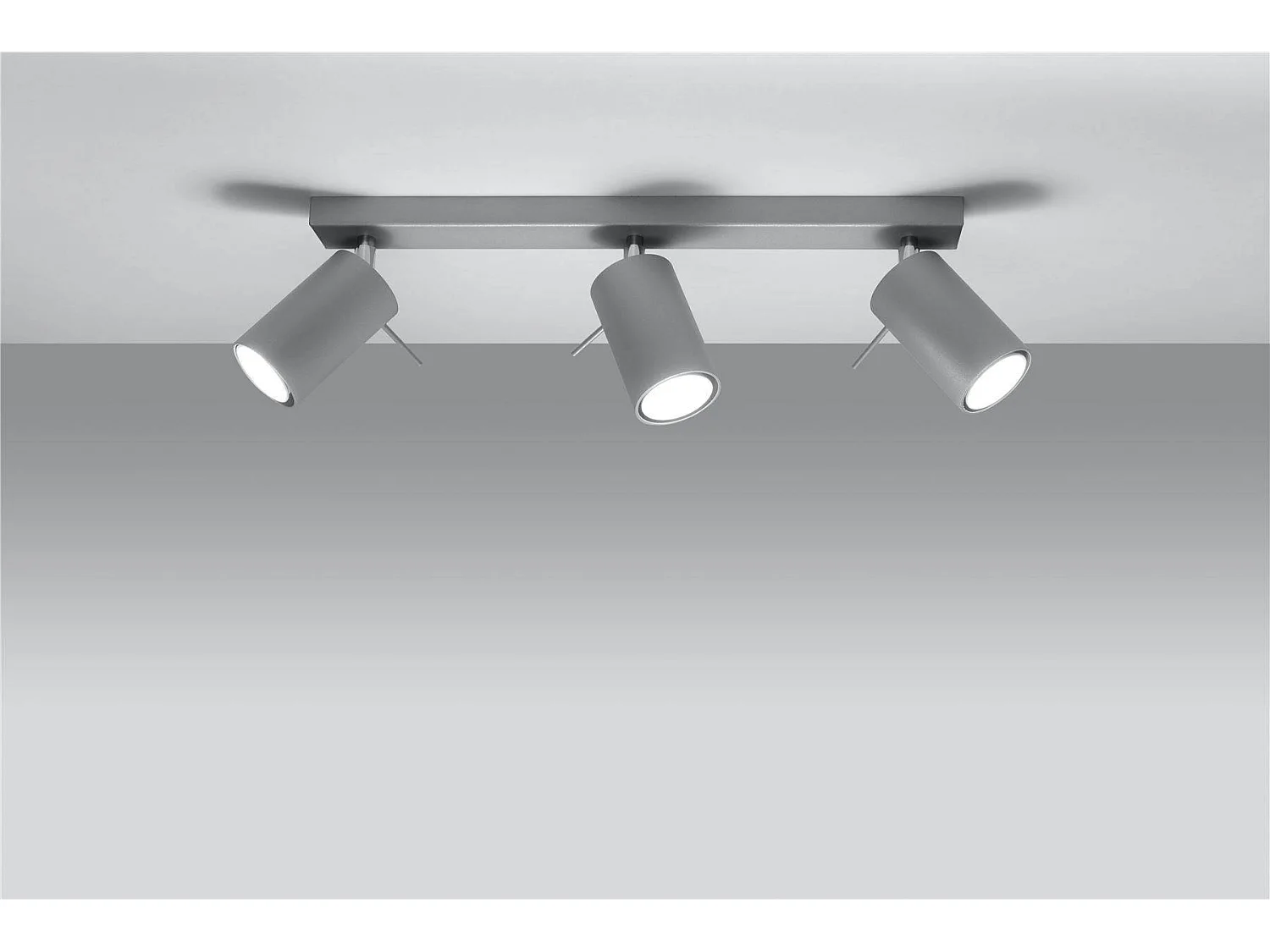 Plafondlampen Ring Modern Van  - 3 Lichtbronnen - L.45 X H.16 Cm - Grijs