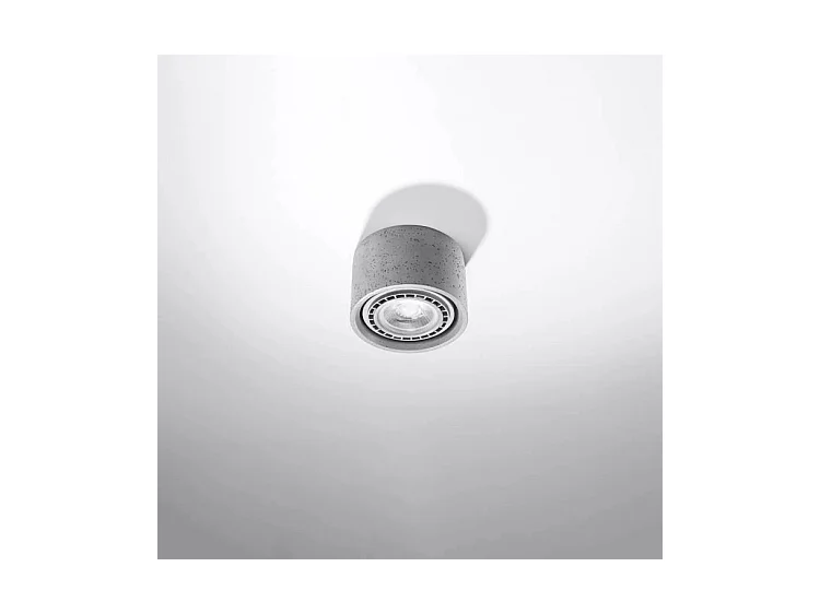 Plafondlampen Basic Industrieel Van  - 1 Lichtbronnen - L.14 X H.9 Cm - Grijs