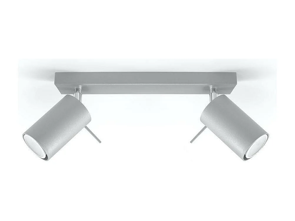 Plafondlampen Ring Modern Van  - 2 Lichtbronnen - L.30 X H.16 Cm - Grijs