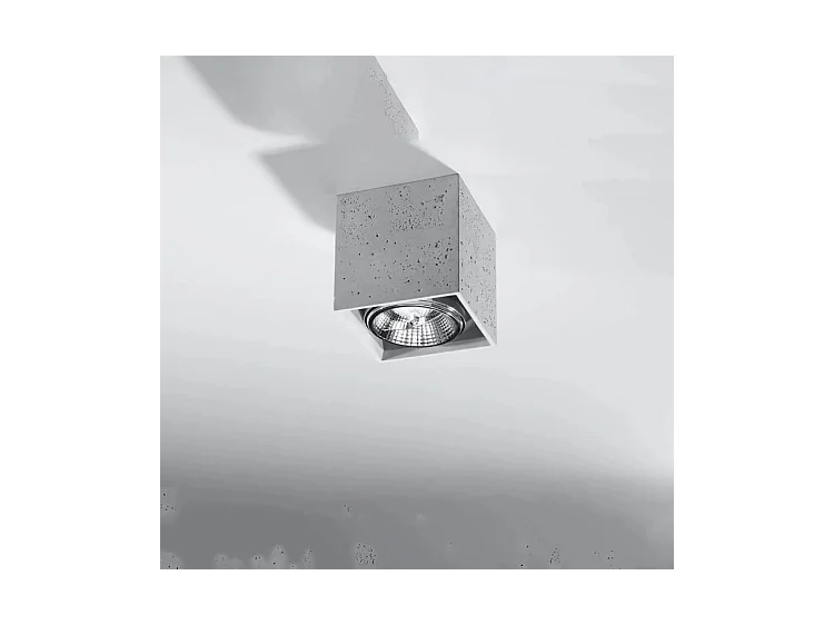 Plafondlampen Valde Industrieel Van  - 1 Lichtbronnen - L.14 X H.14 Cm - Grijs
