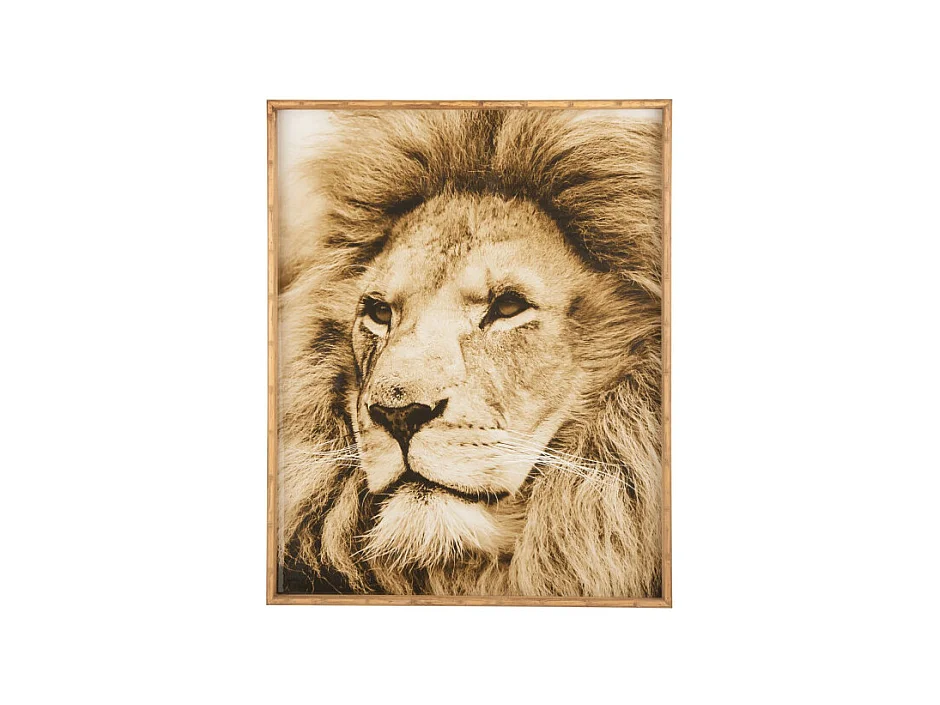 Tableau Imprimé Déco "Lion" 80x100cm Marron