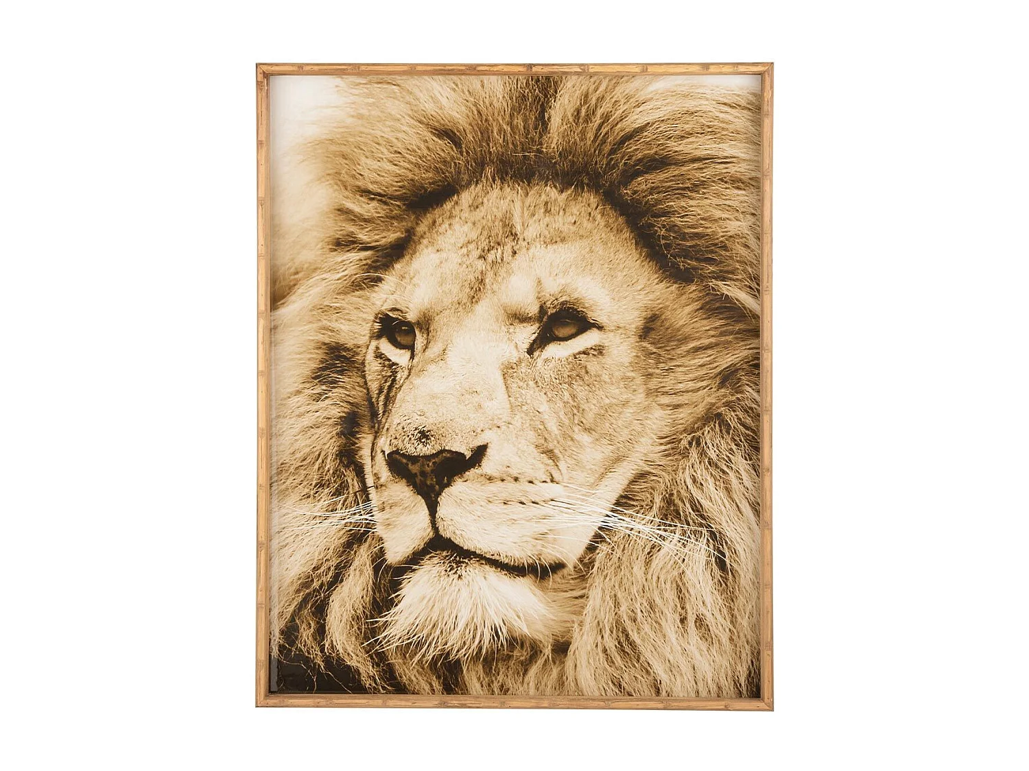 Tableau Imprimé Déco "Lion" 80x100cm Marron