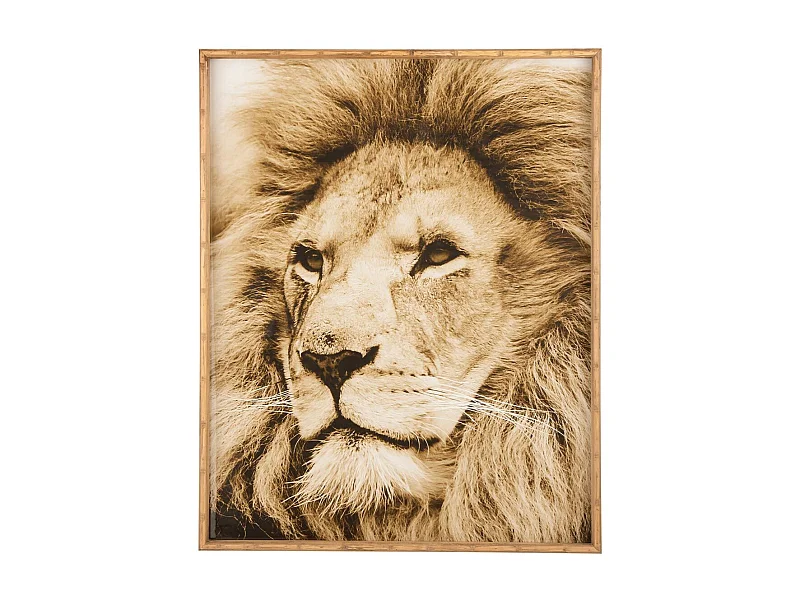 Tableau Imprimé Déco "Lion" 80x100cm Marron