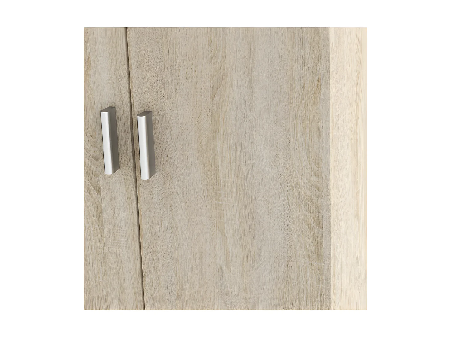 Meuble à chaussures 2 portes 6 niveaux - SCHUHE - L 55 x l 35 x H 108 cm