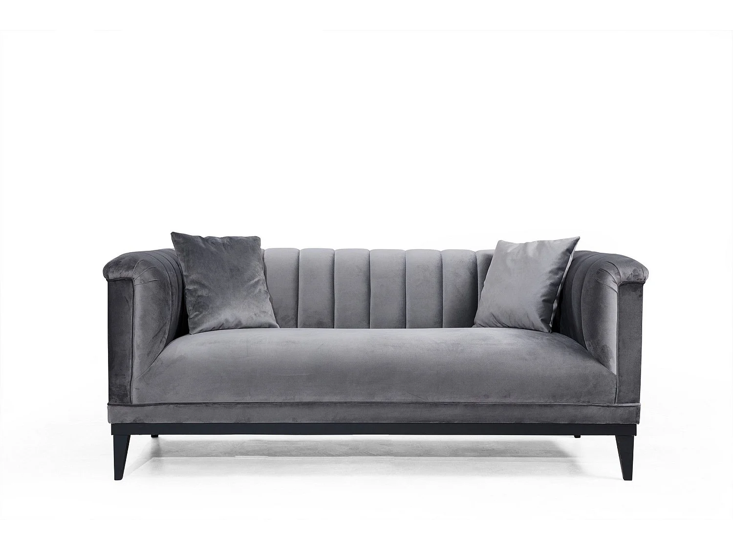 Canapé 2 places avec 2 coussins Avina Velours Gris foncé