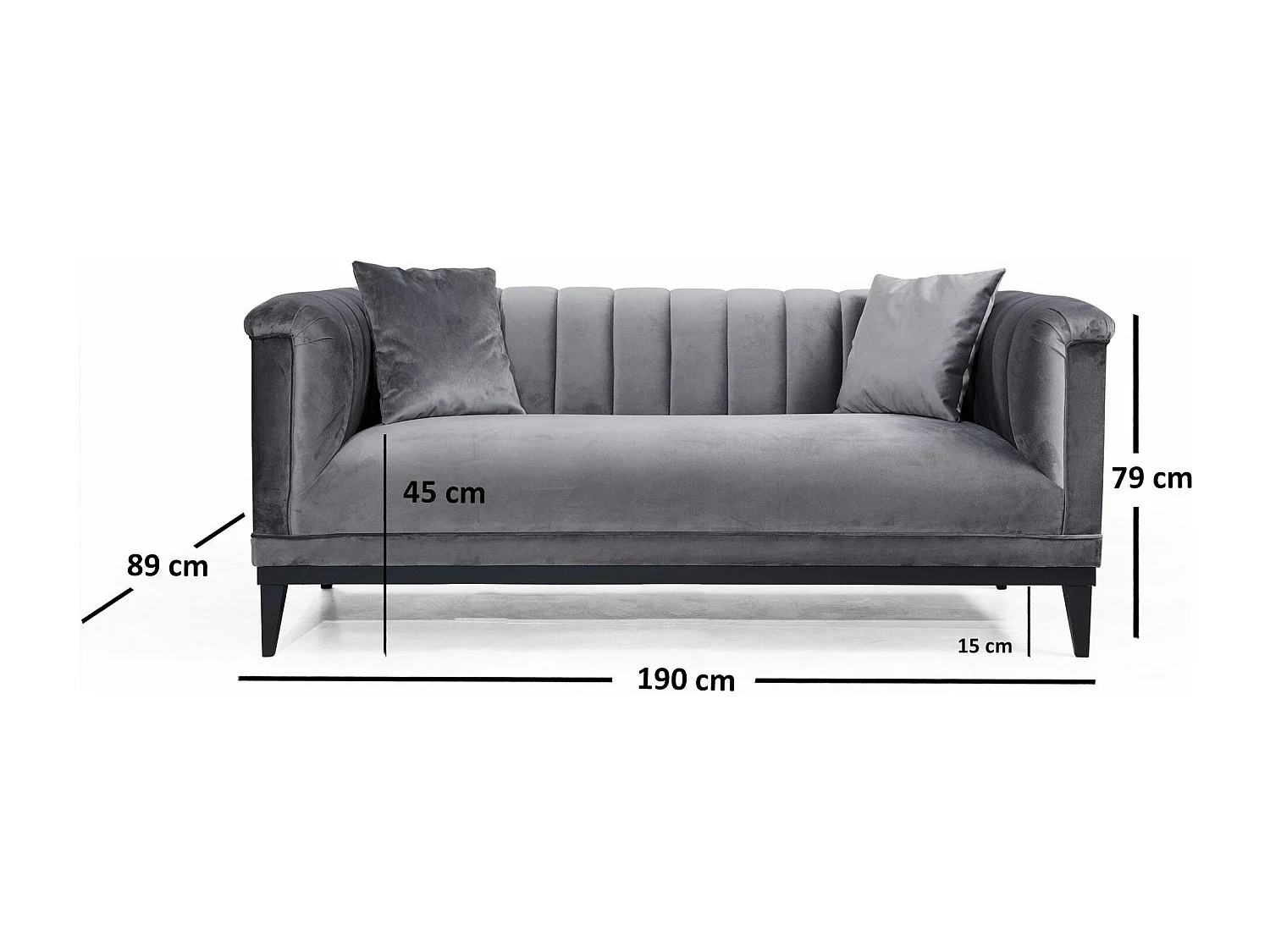 Canapé 2 places avec 2 coussins Avina Velours Gris foncé