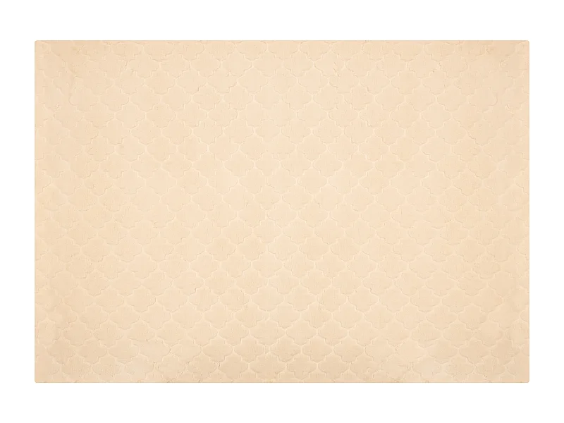 Tapis en fausse fourrure GHARO Beige 160 x 230 cm