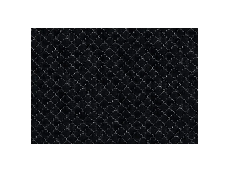 Tappeto pelle sintetica nero 160 x 230 cm GHARO