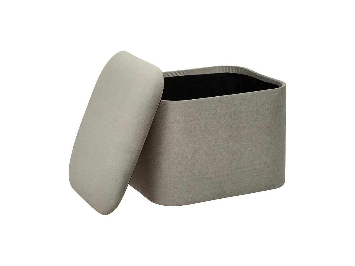 Lot de 2 Poufs Coffres de rangement en Velours Gris Clair et Gris Foncé