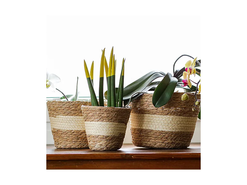 Set 3 Paniers à Plantes d'Extérieur Doublés Quenouilles Marron Beige