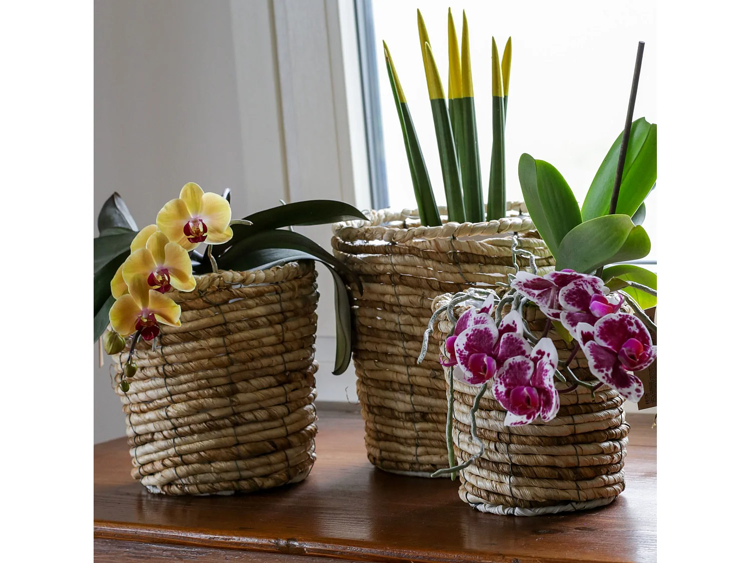 Set de 3 Paniers à Plantes Paniers Doublés Paille de Maïs Marron