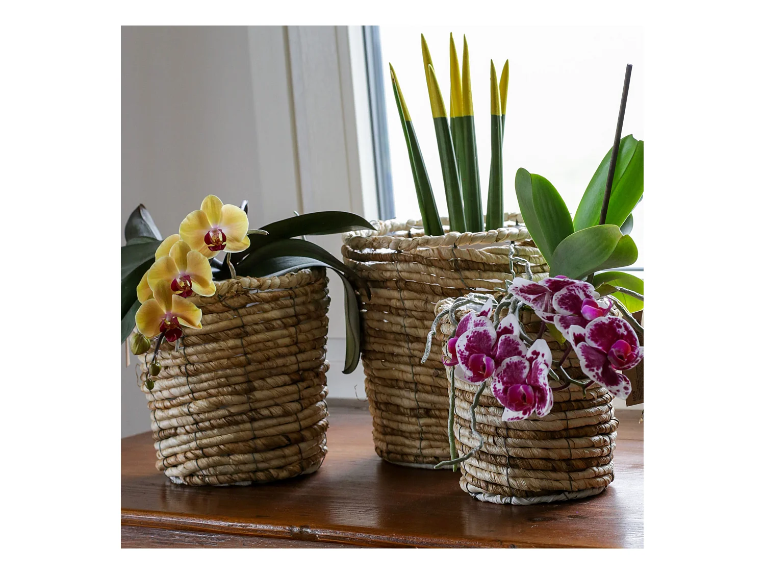 Set de 3 Paniers à Plantes Paniers Doublés Paille de Maïs Marron