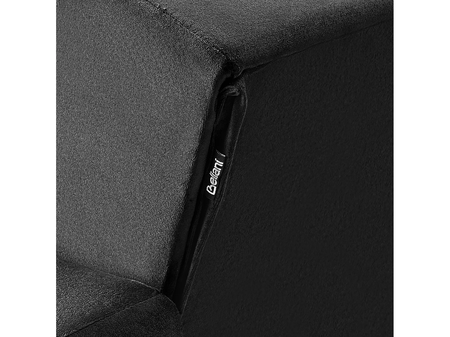 Fauteuil ABERDEEN Fluweel Zwart