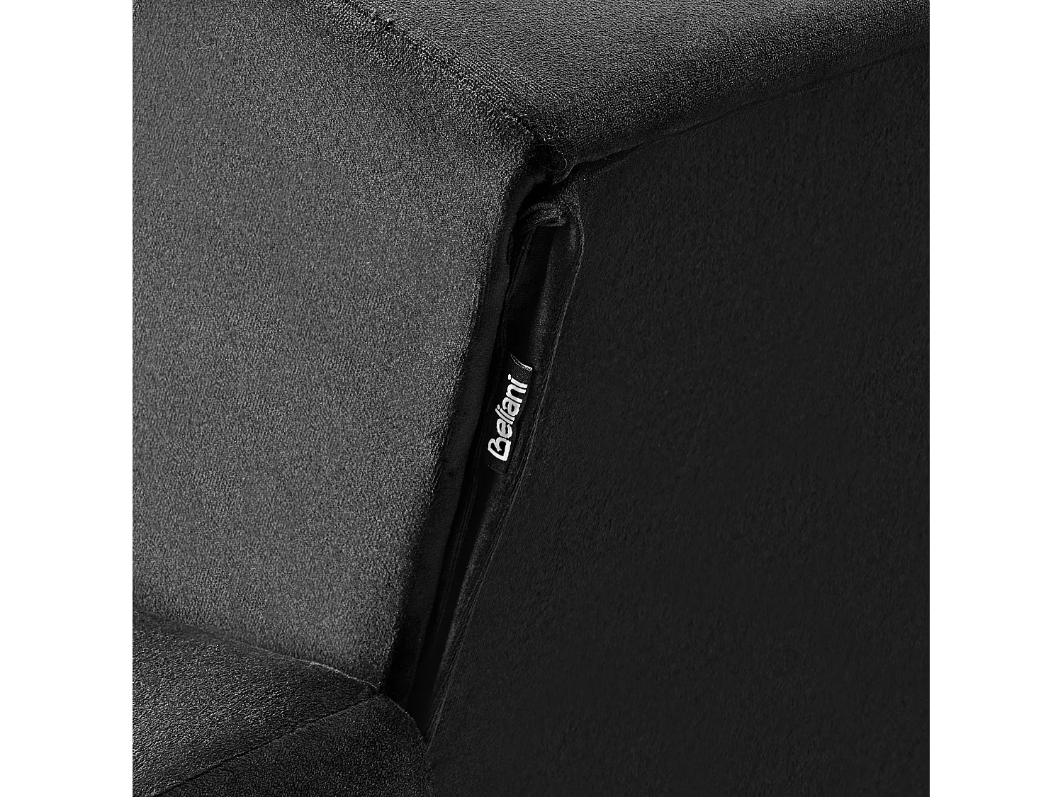 Fauteuil ABERDEEN Fluweel Zwart