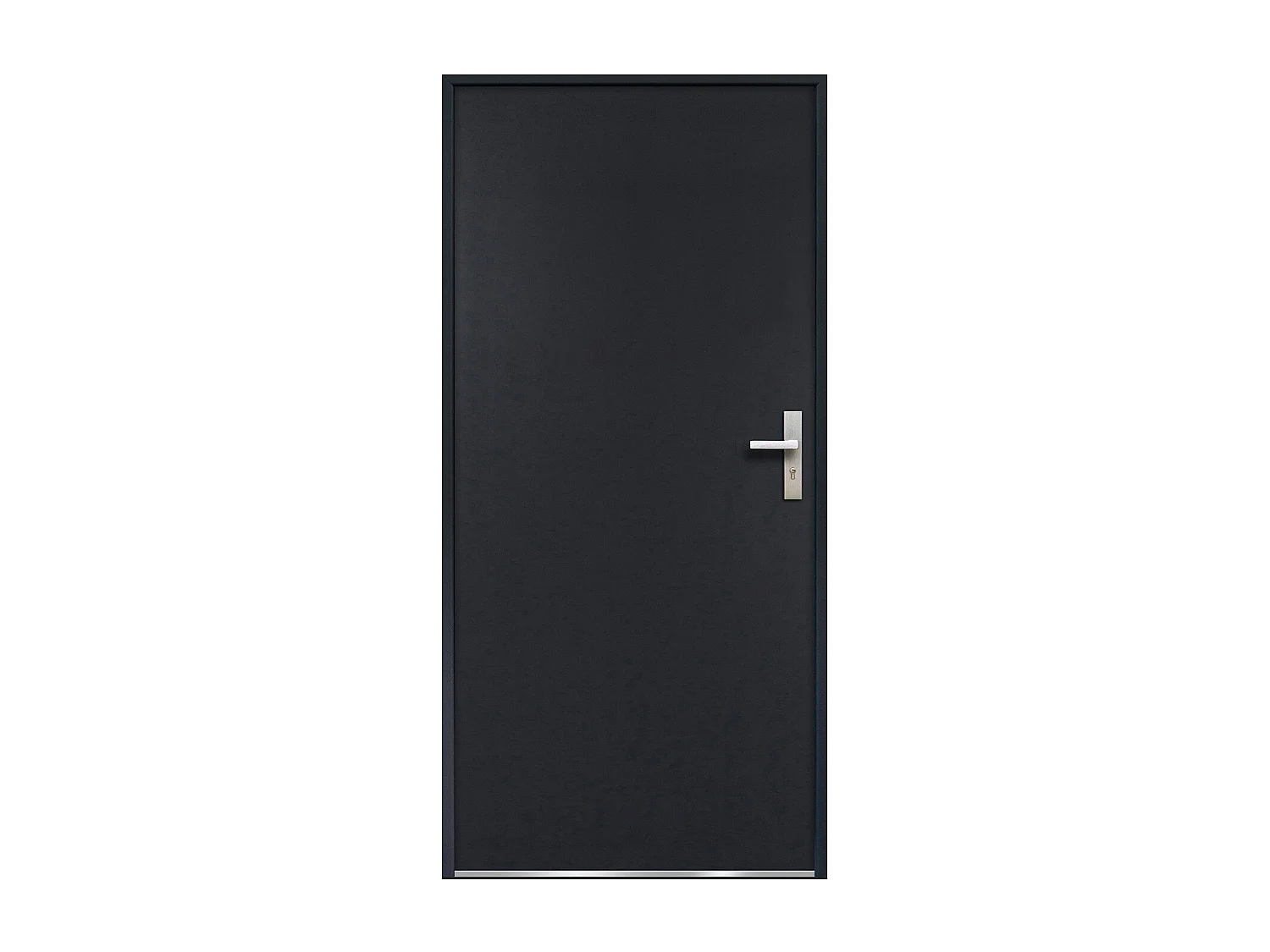 Porte d'entrée en acier pleine H207 x L100 cm anthracite - épaisseur 55 mm - poussant gauche - AGUEDA