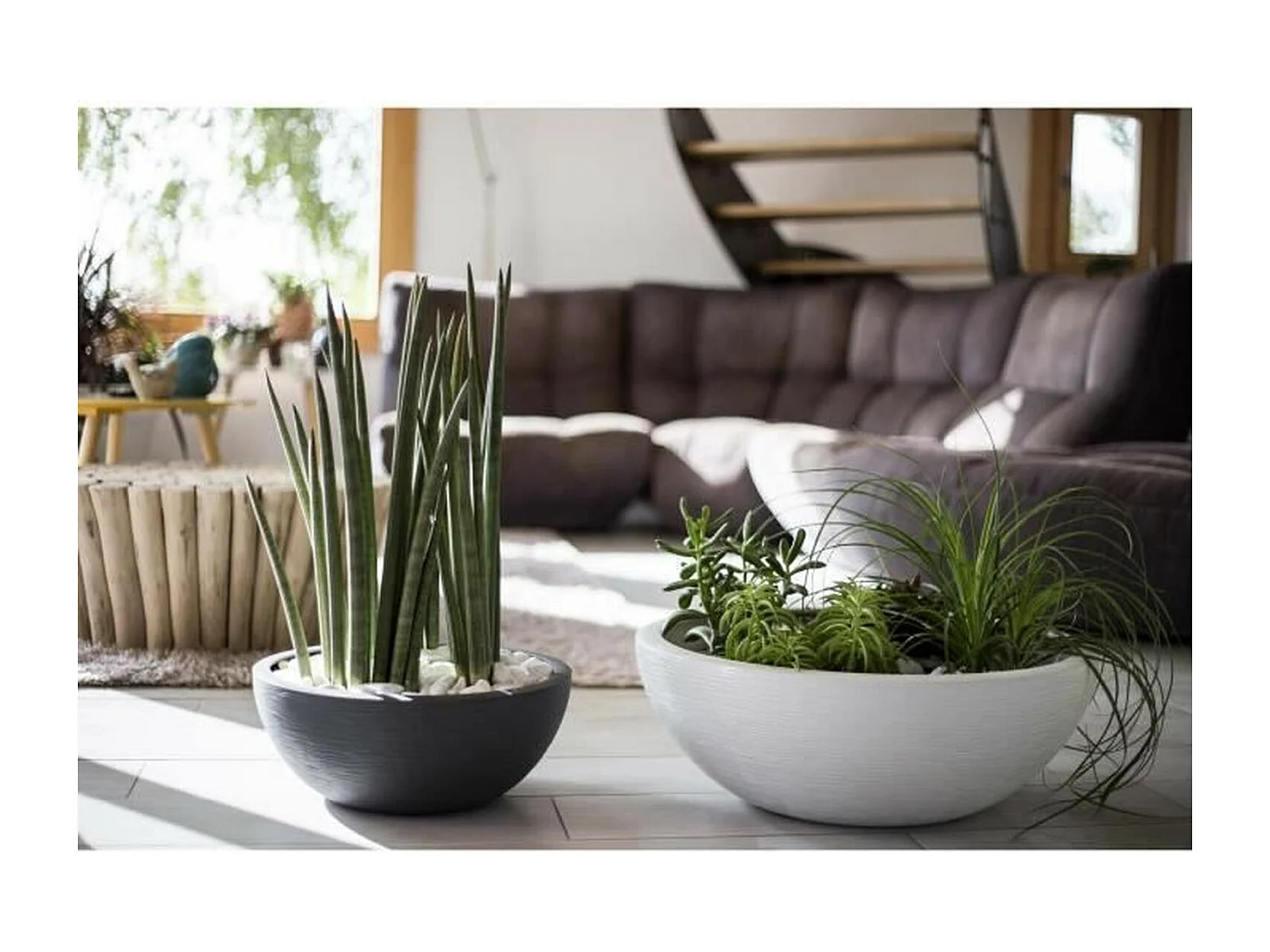 Pot de fleurs rond en plastique Graphit Up anthracite - Ø 50 cm - Eda