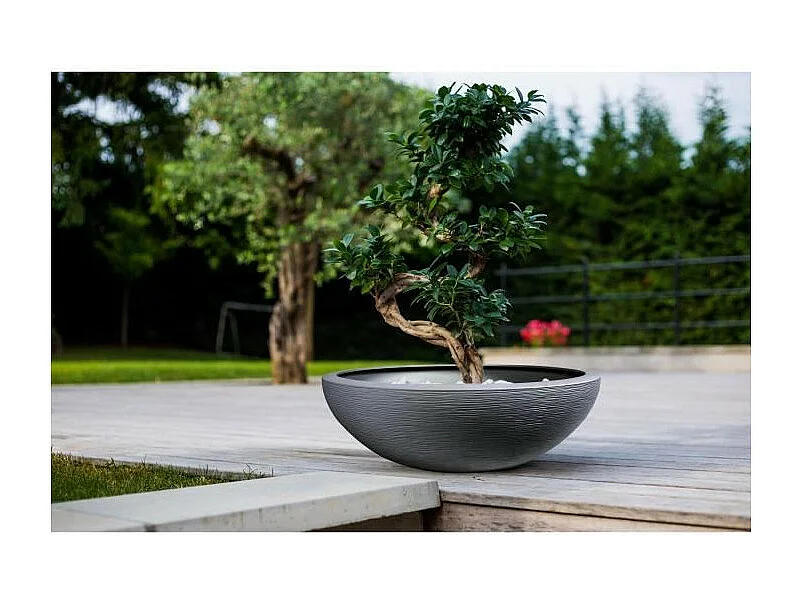 Pot de fleurs vasque en plastique Graphit UP anthracite - Ø 60 cm - Eda