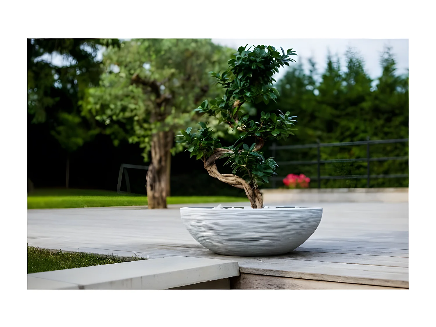 Pot de fleurs vasque en plastique Graphit UP blanc cérusé - Ø 60 cm - Eda