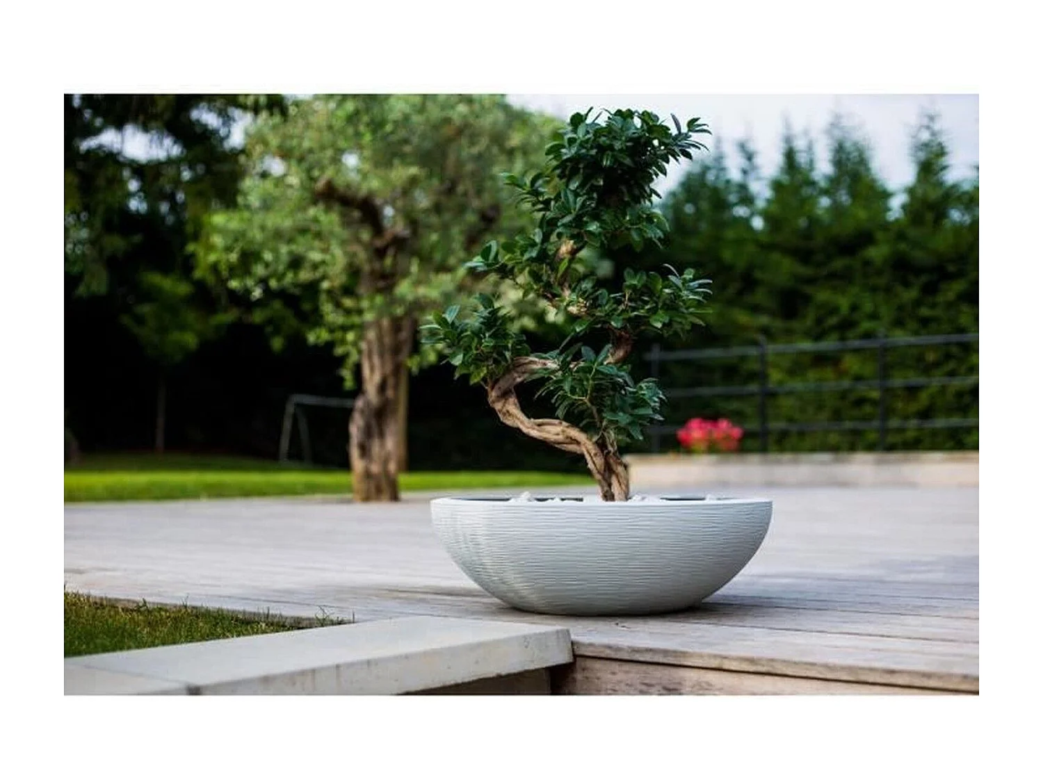 Pot de fleurs vasque en plastique Graphit UP blanc cérusé - Ø 60 cm - Eda