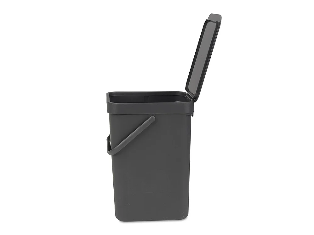 Bidone Brabantia Sort & Go 12L Grigio Scuro - 109805