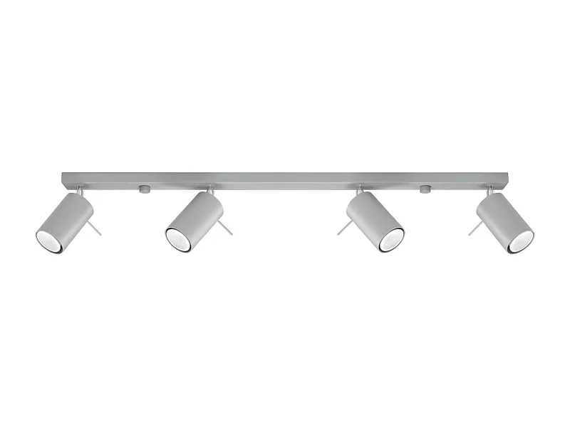 Plafondlampen Ring Modern Van  - 4 Lichtbronnen - L.80 X H.16 Cm - Grijs