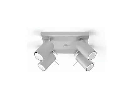 Plafondlampen Ring Modern Van  - 4 Lichtbronnen - L.25 X H.16 Cm - Grijs