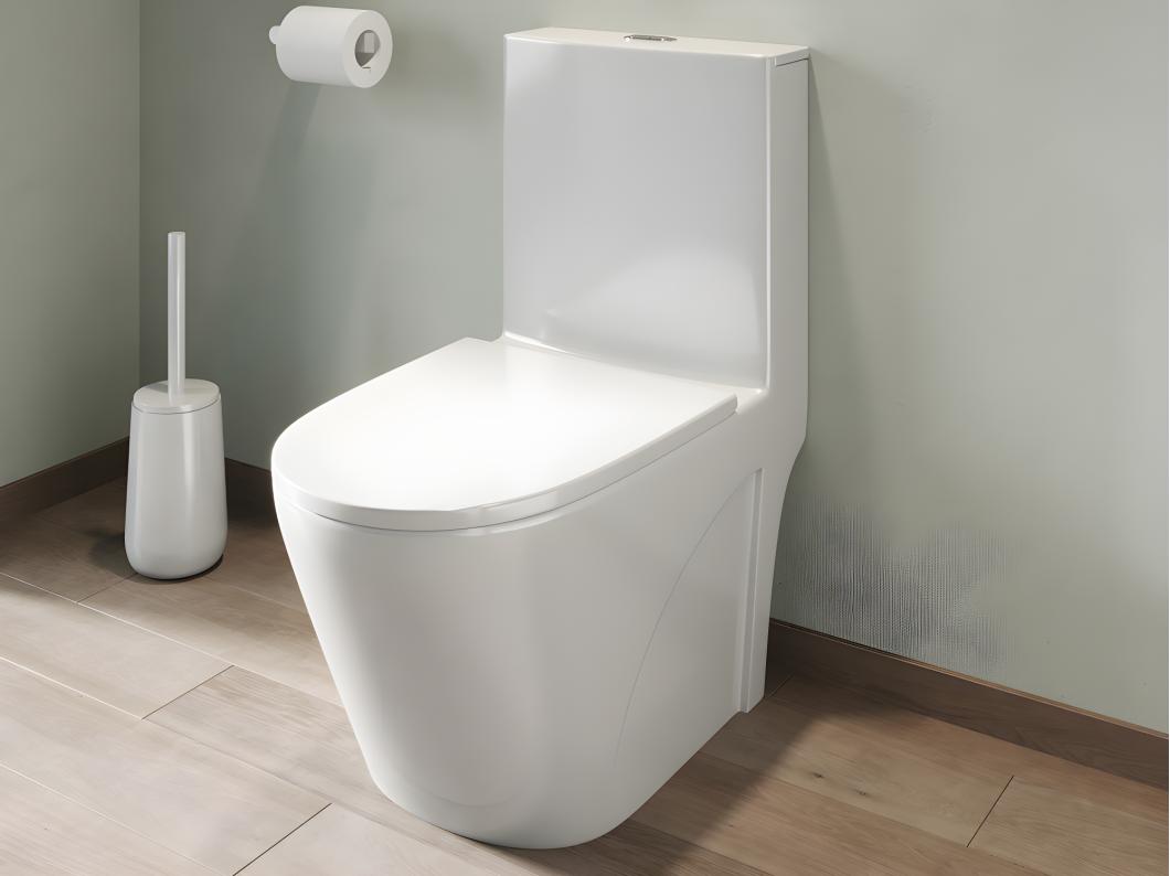 WC à poser blanc brillant en céramique - Evacuation verticale - NAGILAM