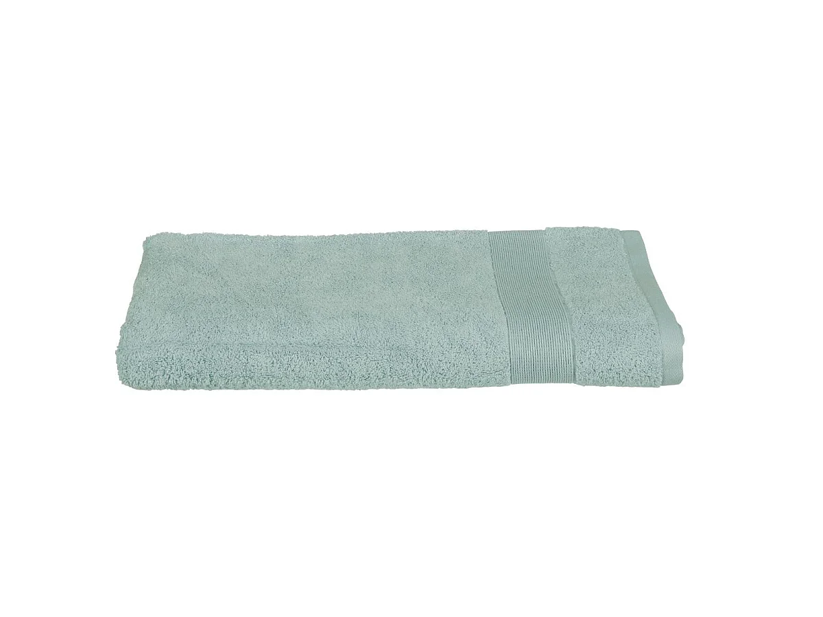 Lot de 2 Serviettes de toilette en Coton Vert givré tissu éponge 50 x 90 cm
