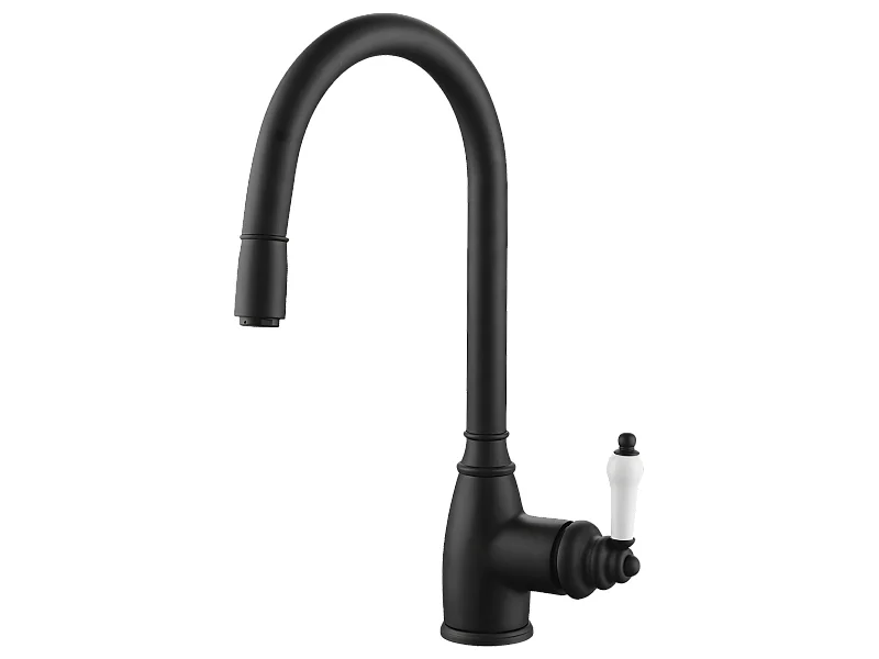 Grifo de cocina Ascott con ducha de mano en negro Essebagno