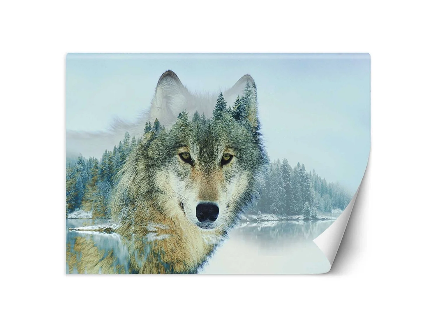 Papier peint loup et un lac - 400 x 280 cm