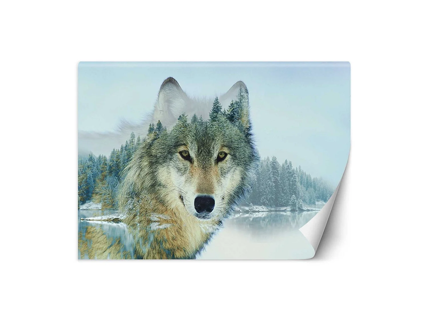 Papier peint loup et un lac - 400 x 280 cm